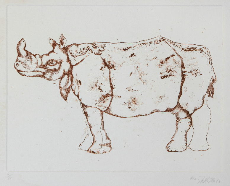 GAMC - Galleria di Arte Moderna - Opera : Rinoceronte - autore: Marotta Gino , immagine