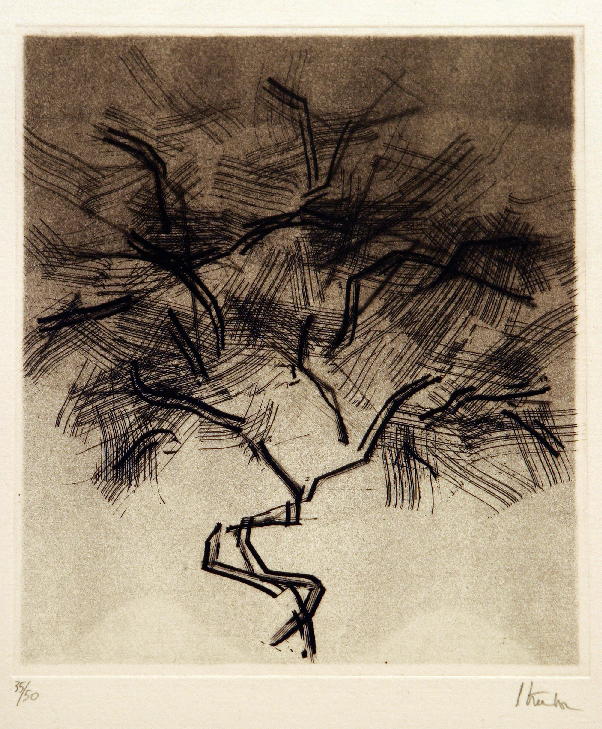 GAMC - Galleria di Arte Moderna - Opera : Storia degli alberi - autore: Strazza Guido , immagine