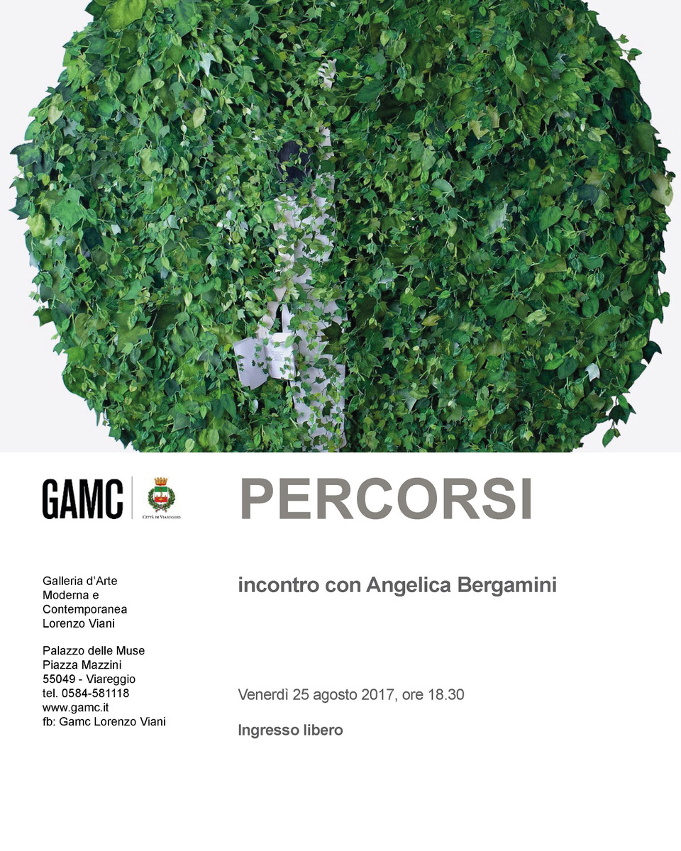 GAMC - Galleria di Arte Moderna - Mostra : PERCORSI Incontro con Angelica Bergamini, immagine