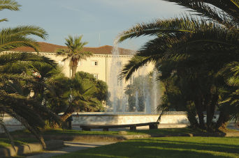 GAMC Palazzo delle Muse immagine
